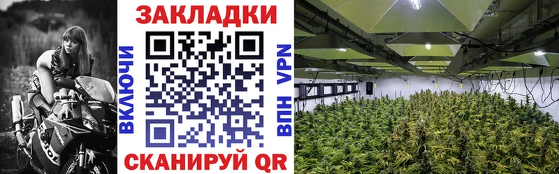Виды наркоты Верхняя Пышма Кокаин  Меф  А ПВП  НБОМе  ГАШИШ  Канабис  АМФ 