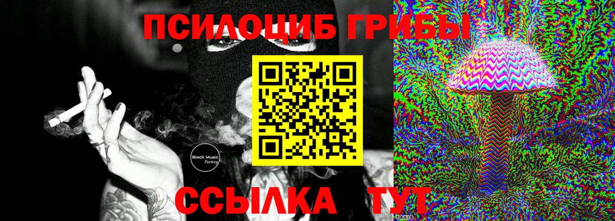 Галлюциногенные грибы Psilocybe  Вход с VPN  Верхняя Пышма 