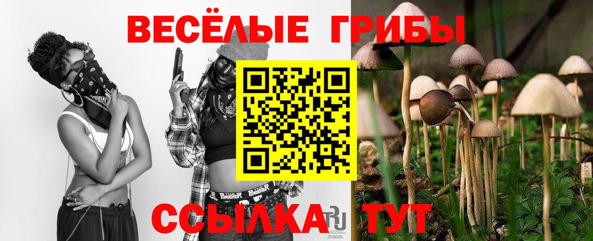 Псилоцибиновые грибы мицелий  Верхняя Пышма  Галлюциногенные грибы Psilocybine cubensis 