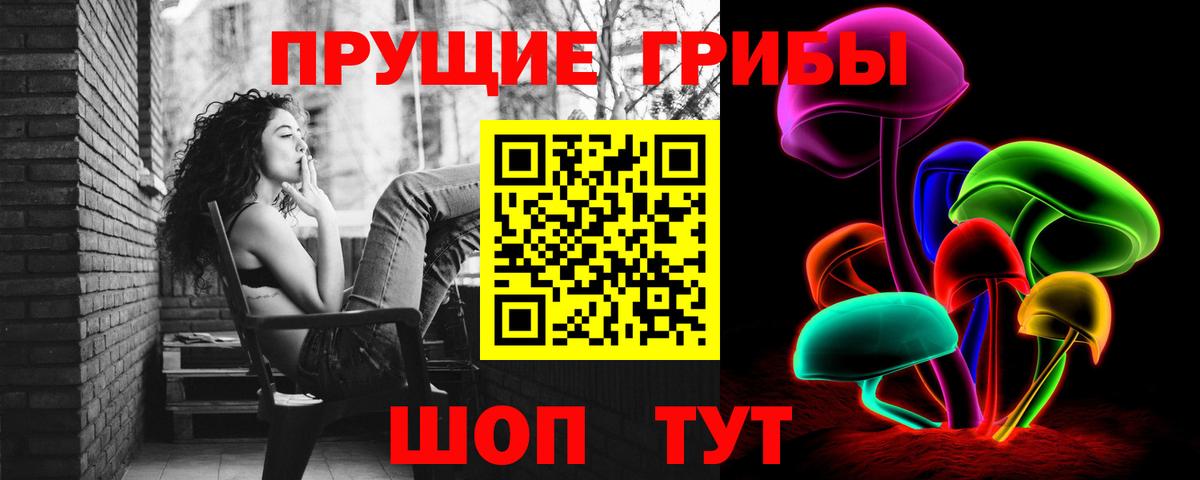 Галлюциногенные грибы Psilocybe Верхняя Пышма